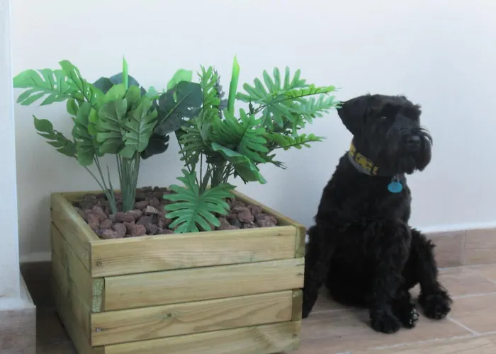 El Huertecito 컨트리하우스